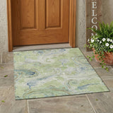 3' X 5' Green And Silver Paisley Washable Indoor Outdoor Area Rug
