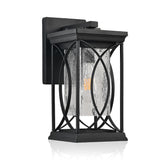 Black Transparent LED Outdoor Hanging Light