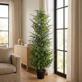 Set of Two 60" Green Artificial Pine Tree In Round Black Pot
