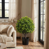 Set of Two 22" Green Artificial Boxwood Tree In Round Black Pot