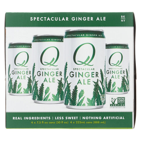 QDR SPRK WTR GNGR ALE ( 6 X 4 PACK )