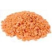 OG2 RED LENTILS ( 25 X 25 LB   )
