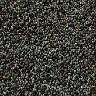 Seeds Poppy Seeds (1x5LB )