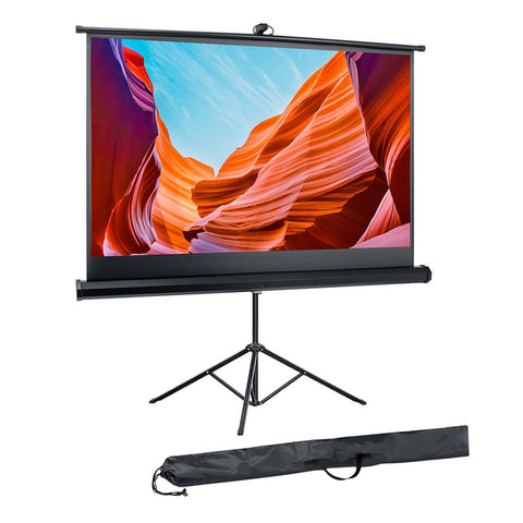 60IN TRIPOD PRJCTR SCREEN
