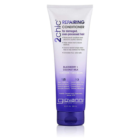 GIO 2CHIC COND BRY CNUT ( 1 X 8.5 OZ   )