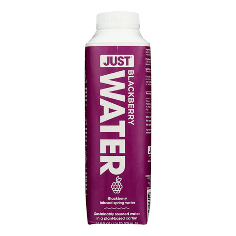 JST SPRG WTR BLKBRY INFS ( 12 X 16.9 OZ   )