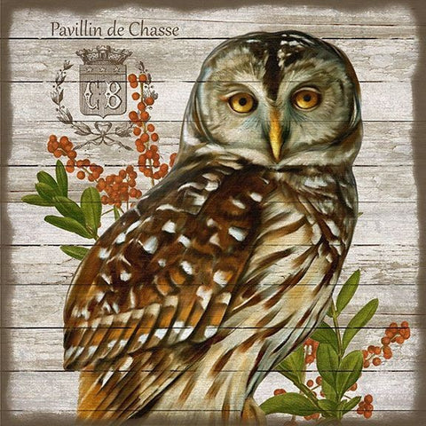 Vintage French Brown Owl Wall Art