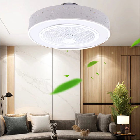 Contemporary Ceiling Ceiling Fan and Light